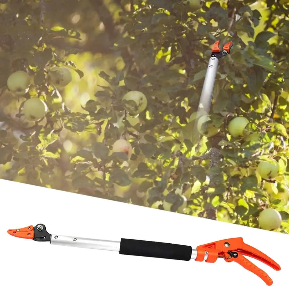 High Branch Pruning Tool