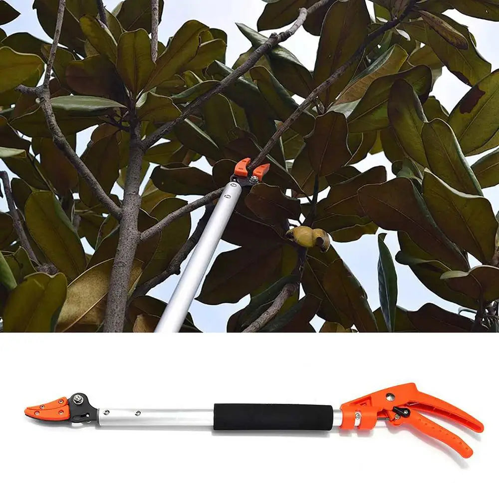 High Branch Pruning Tool
