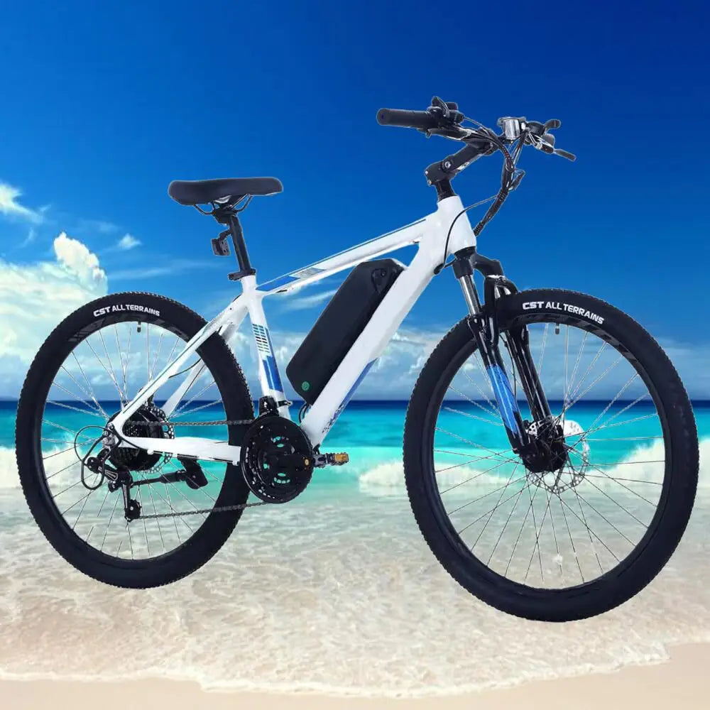 Fun Electric Bike for Ladies and Gents