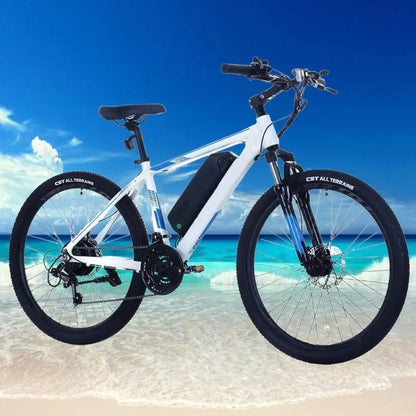 Fun Electric Bike for Ladies and Gents