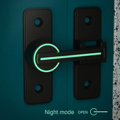 Luminous Sliding Barn Door Latch