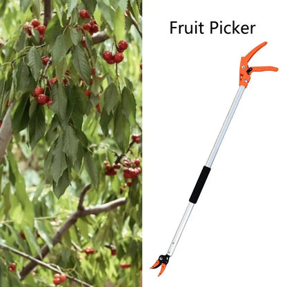 High Branch Pruning Tool