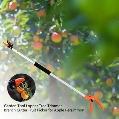 High Branch Pruning Tool