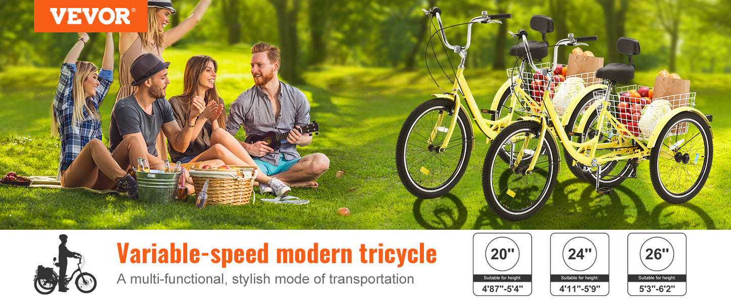 Tricycle Bike for the kid in you!