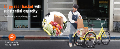 Tricycle Bike for the kid in you!